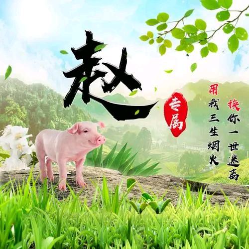 成功是失败走剩的路