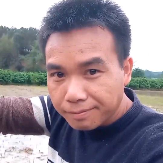 鸿哥哥