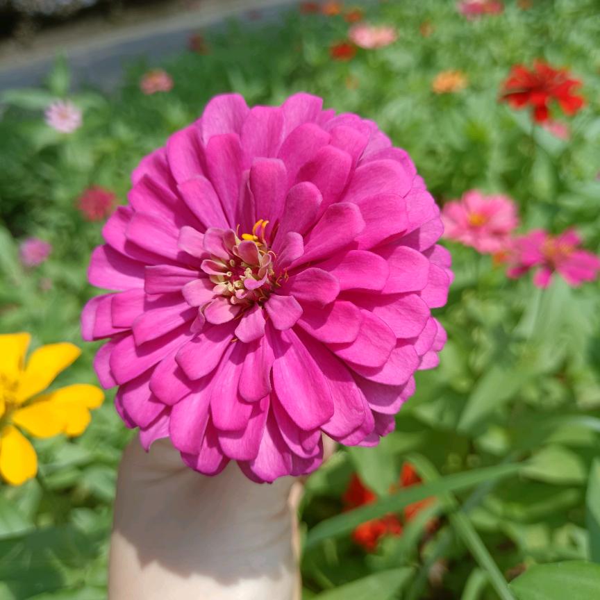 人人茫茫遇见你