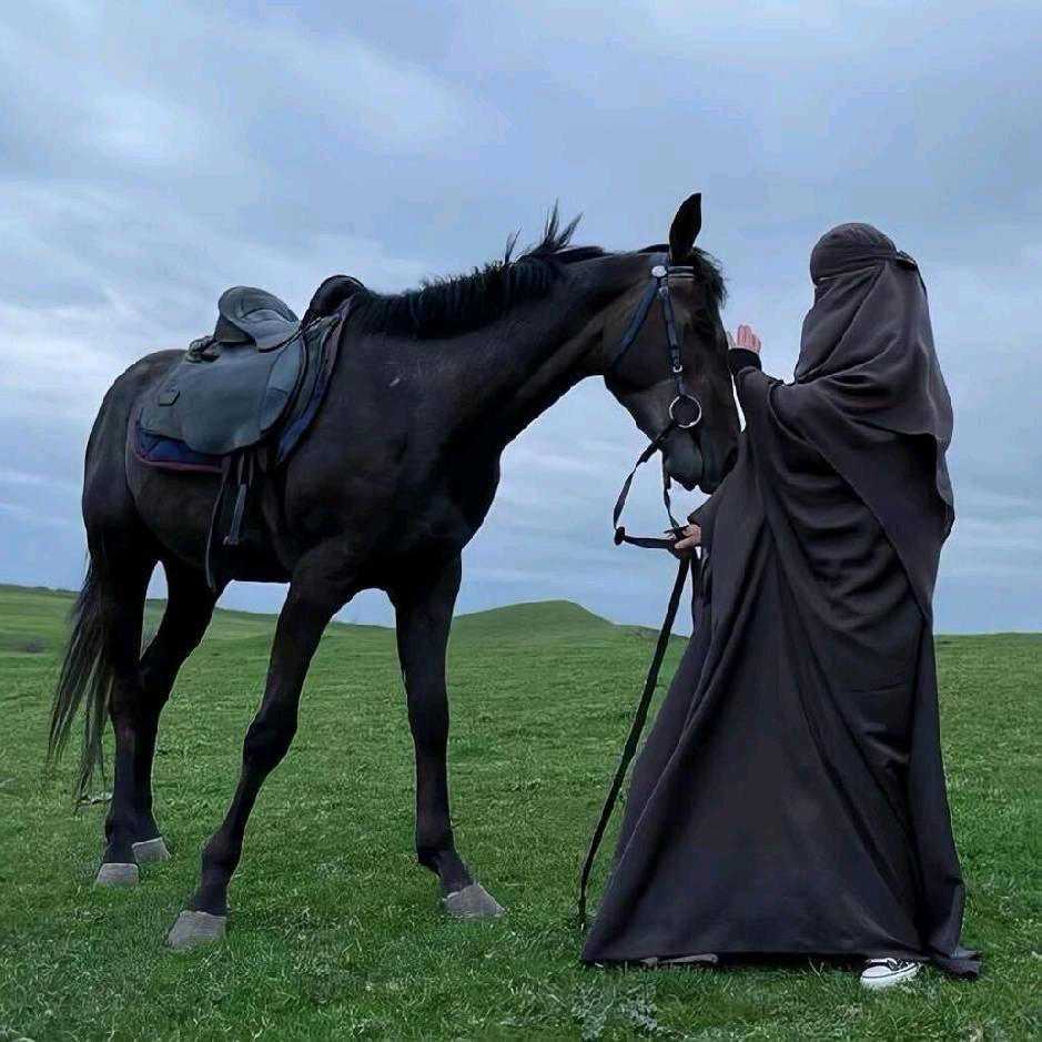 不戒酒不改网名