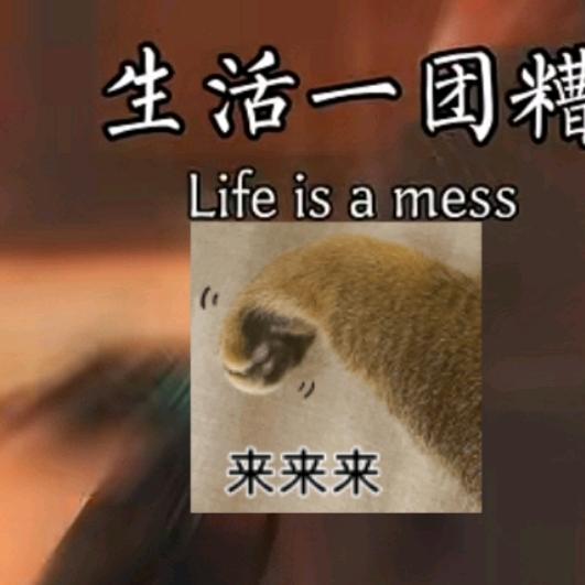 用户7457295513005