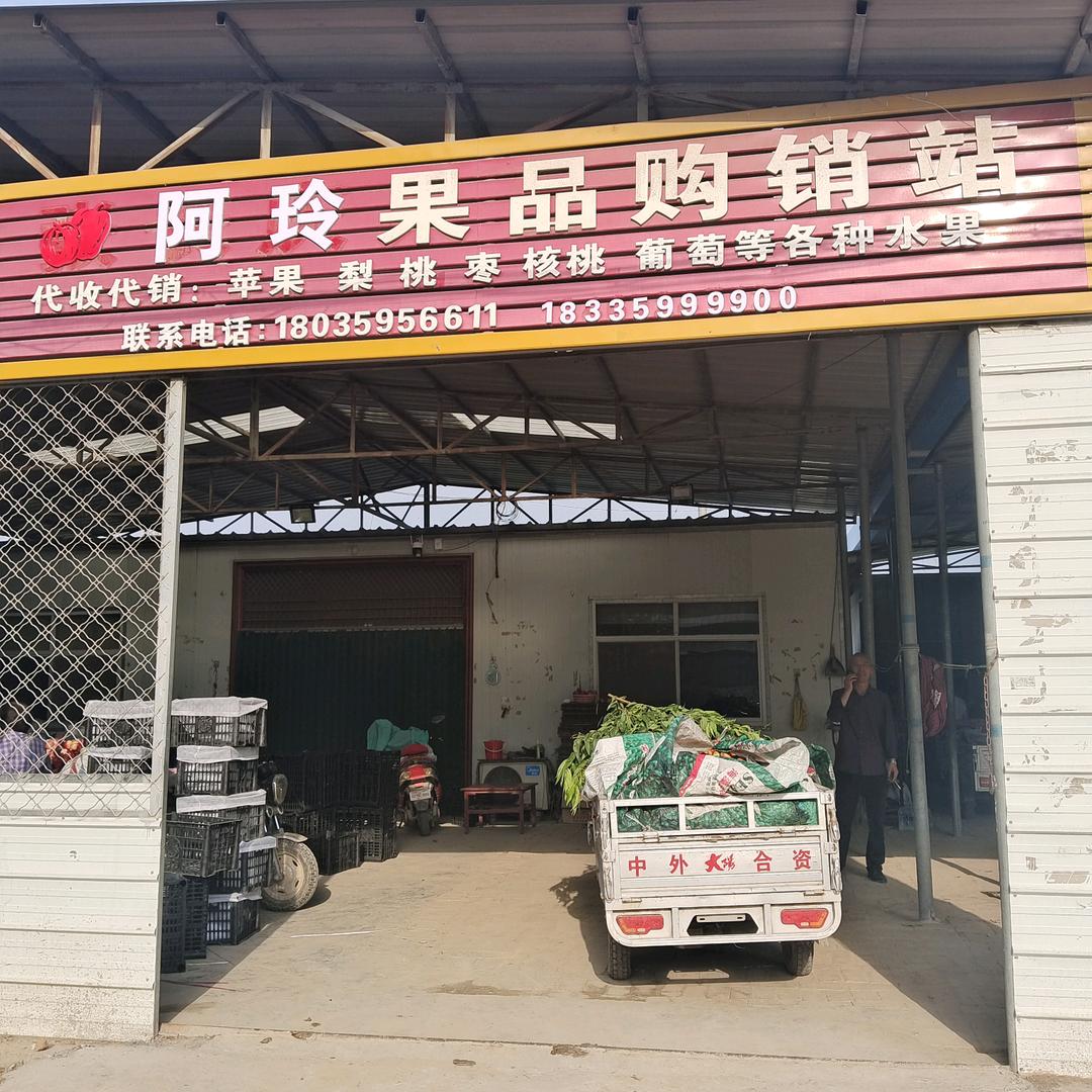 阿玲果品购销站（诚信代办）