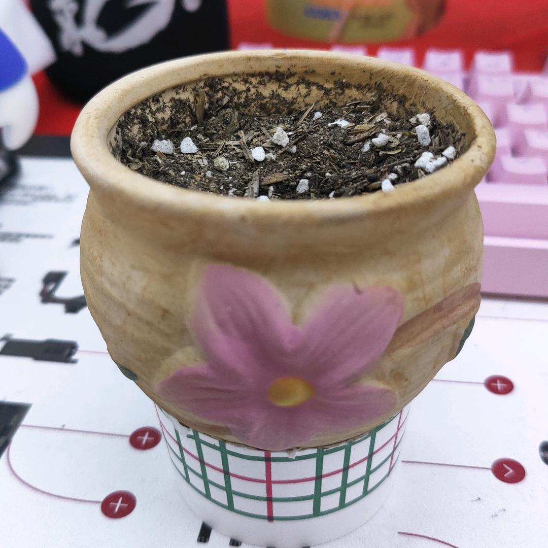 想不到优雅的龟龟