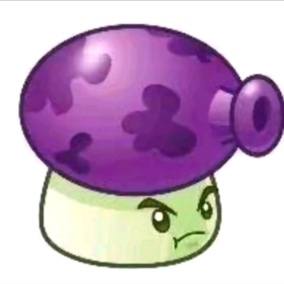 大喷菇🟣 🟣 🟣 🟣 🟣 🟣