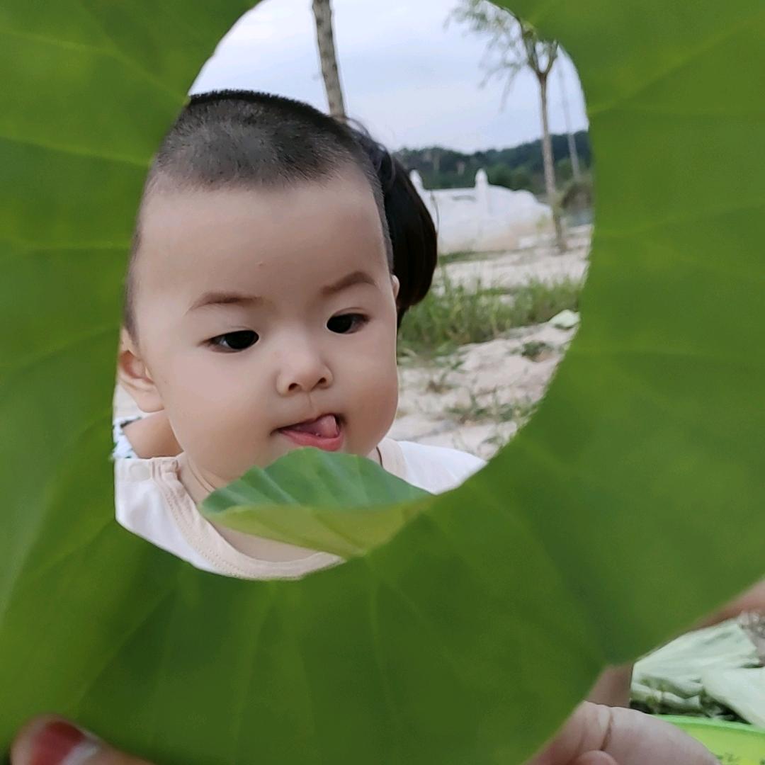 竺紫荀