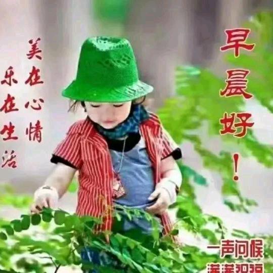 前程似锦，共度余生
