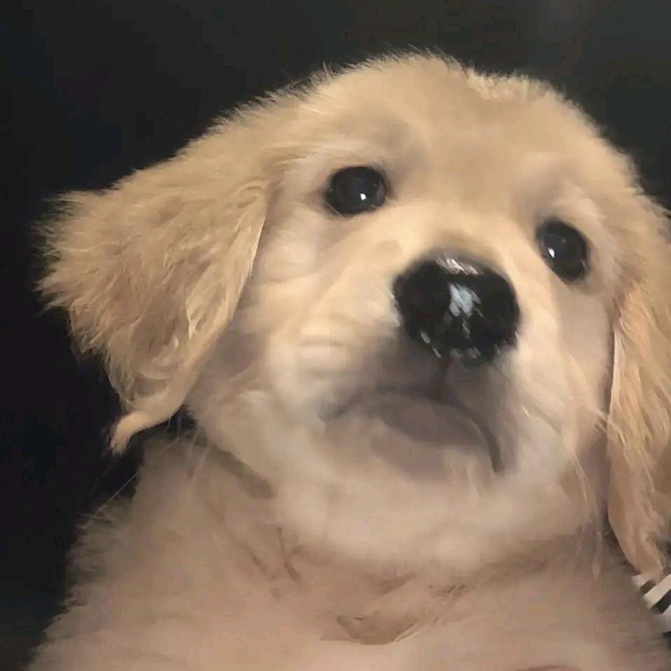 😄
