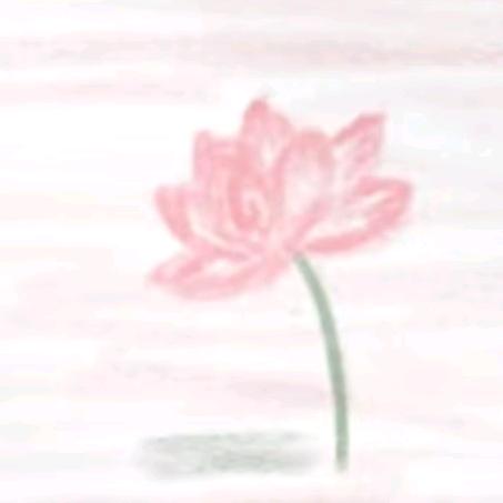 xixi