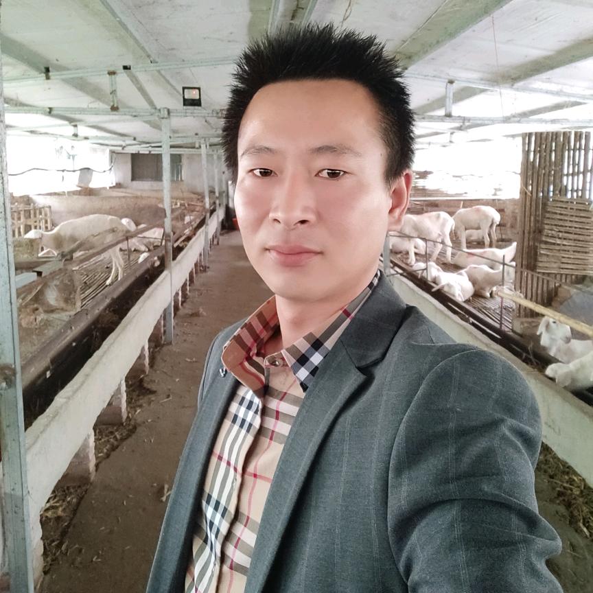涡阳县洼张湖羊养殖场