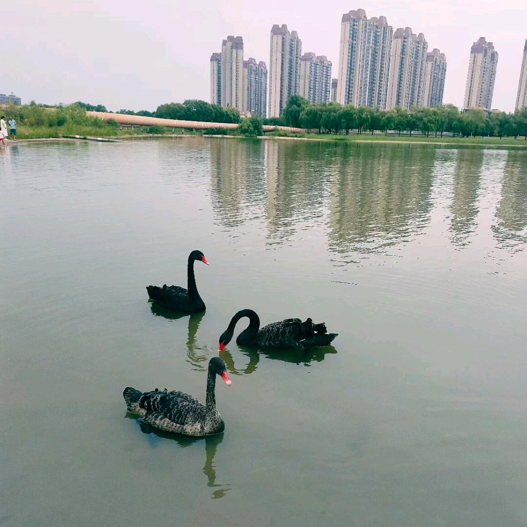爷们