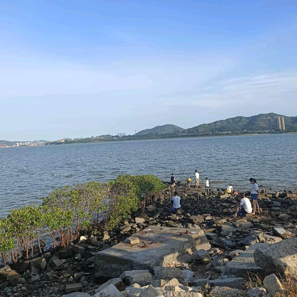 红木格子