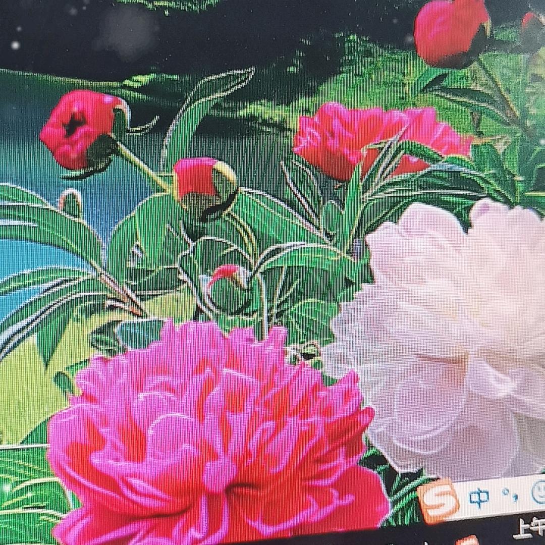 简单随性