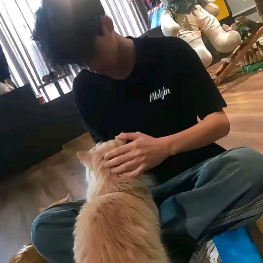 睡个好觉.