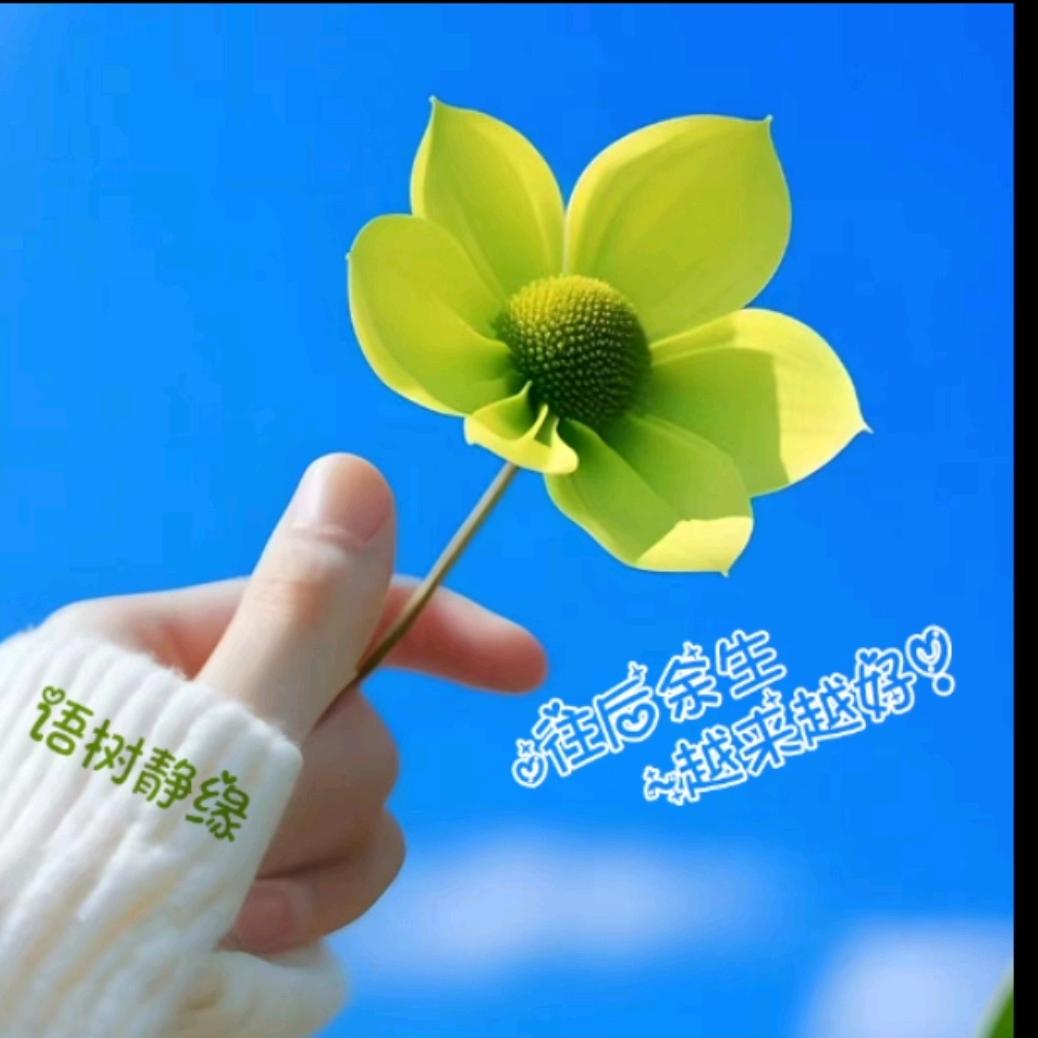 💞᭄如你所愿꧔ꦿꦿ꯭💞