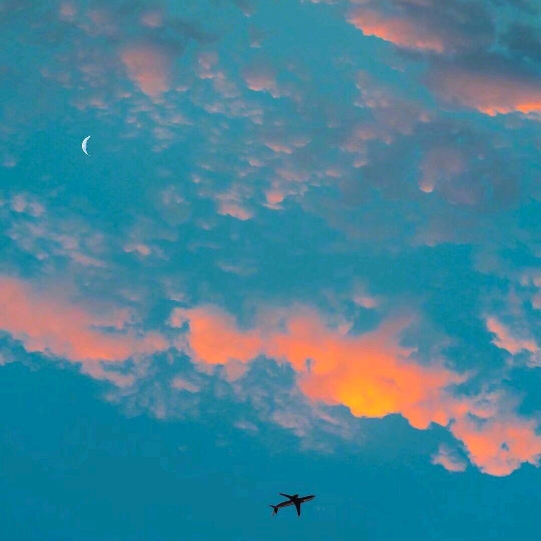 燎旭