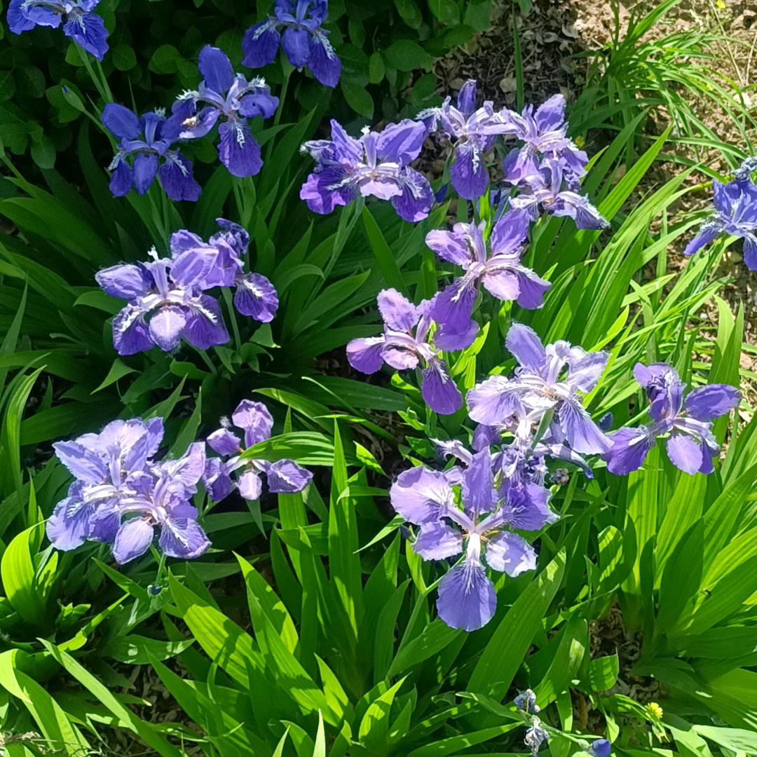 快快乐乐每一天186