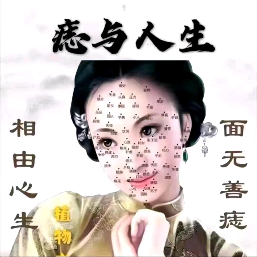 小杨