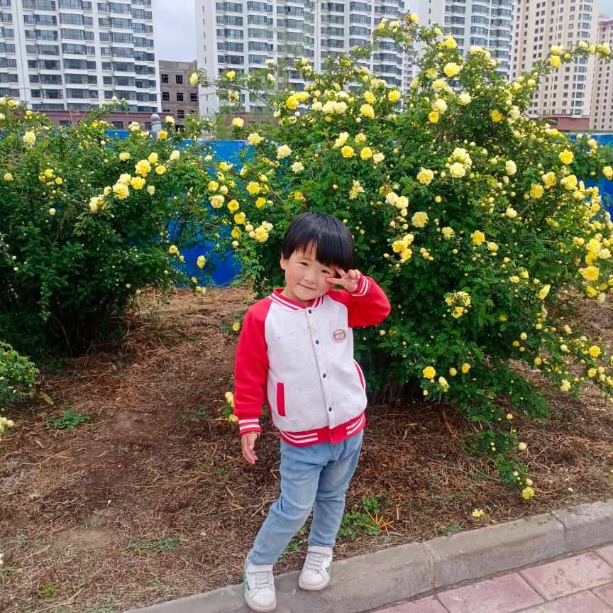 怡然似梦都是