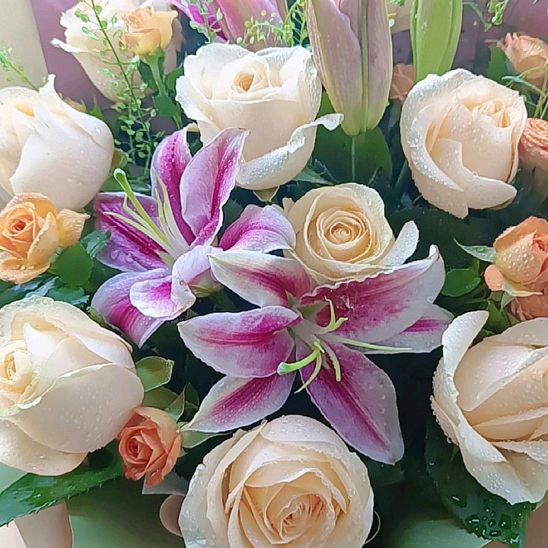 鳳姐♛拒绝私聊🙏