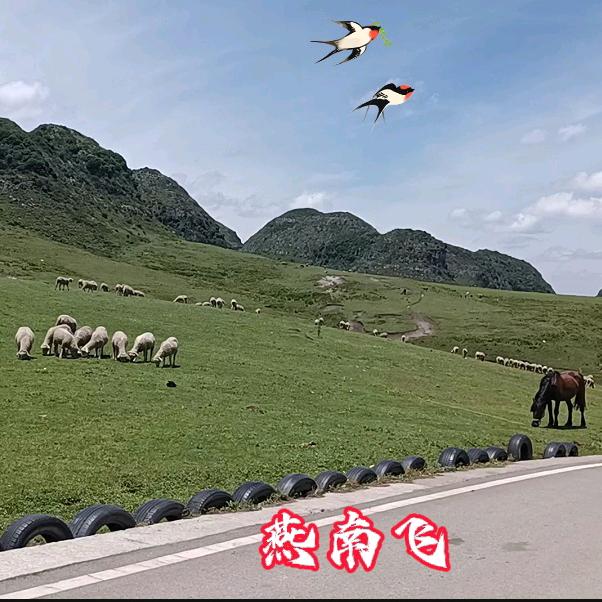 用户燕南飞312571729753