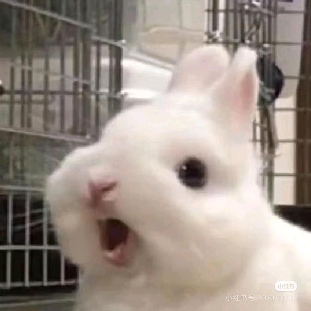 马大美的美食日记