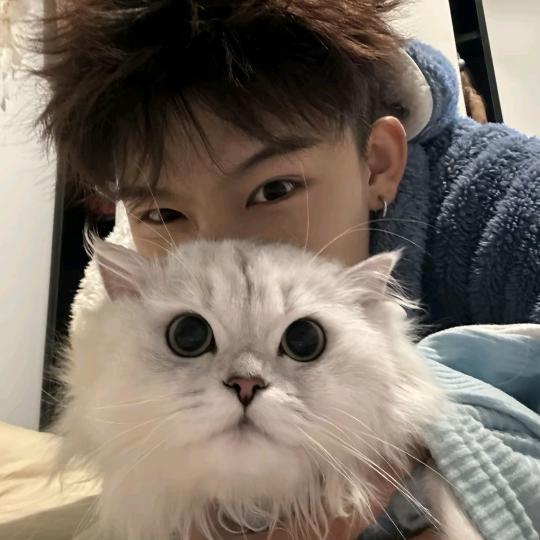 清风寄梦