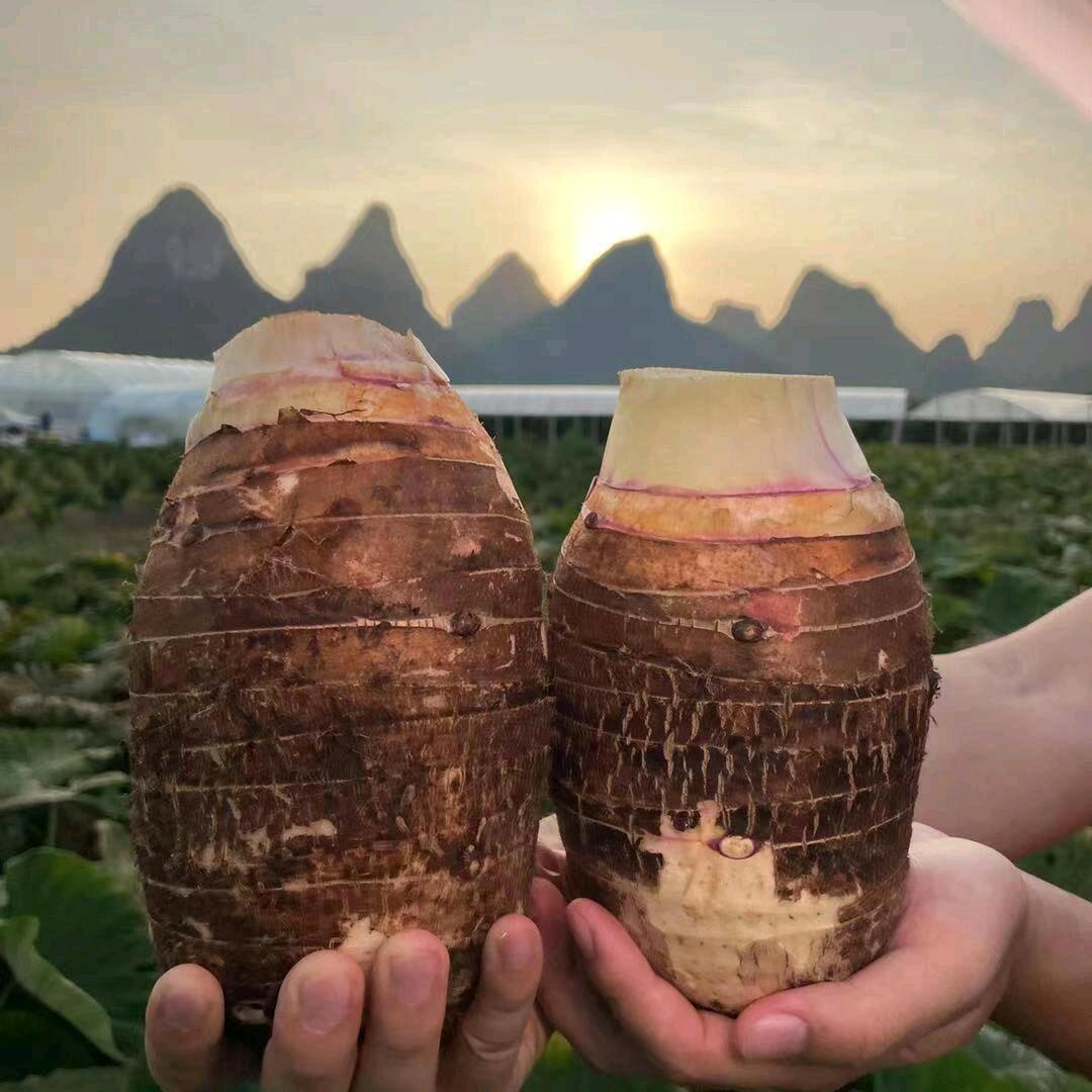 荔浦农货小栈