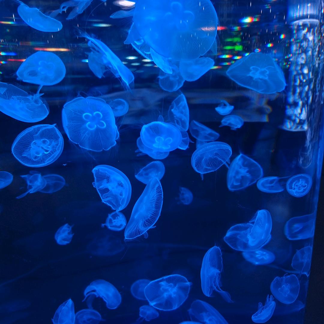 👉人生如戏👈