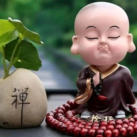 爱恨随意……