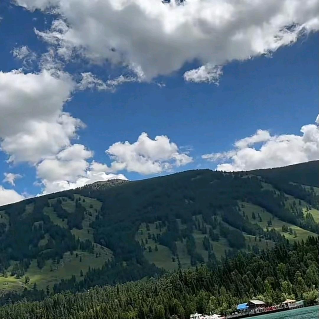 蓝天gjw🇨🇳（70年🐶）