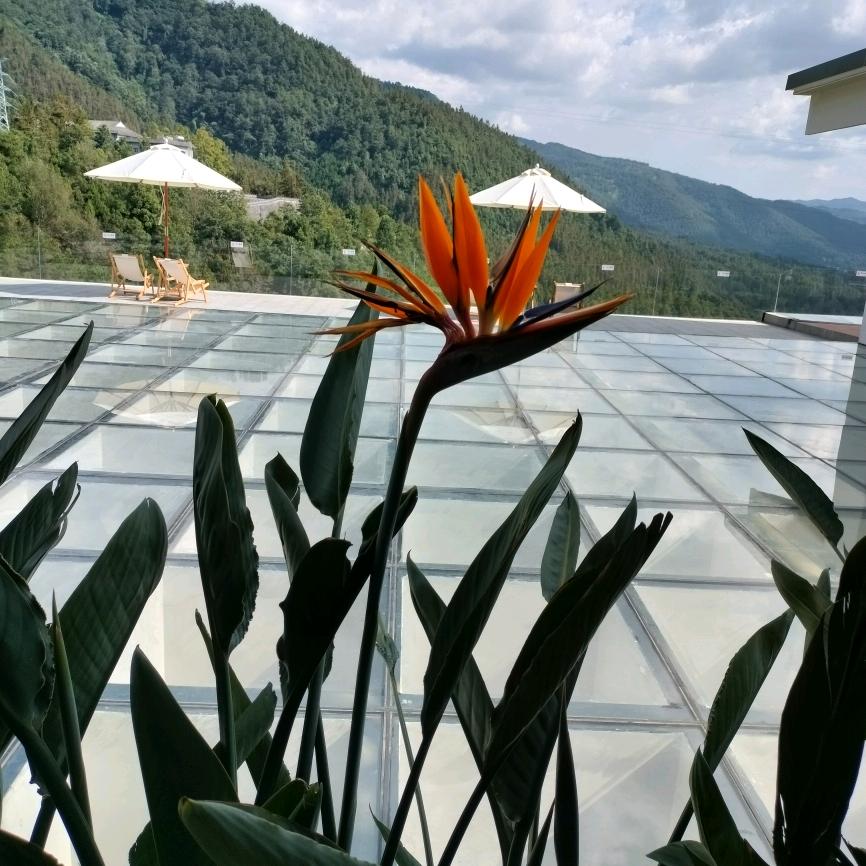 开心过好每一天