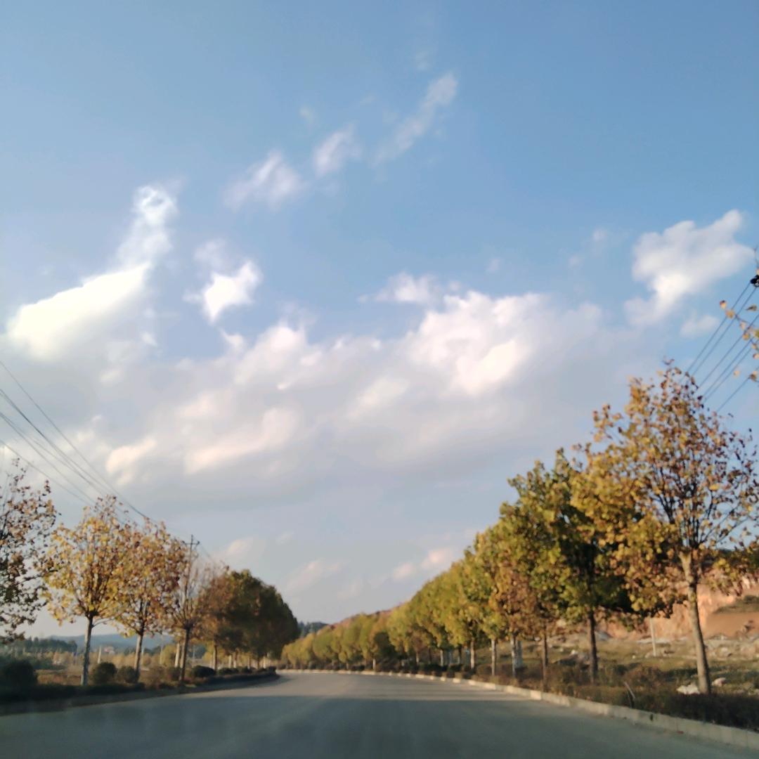 柚子吖