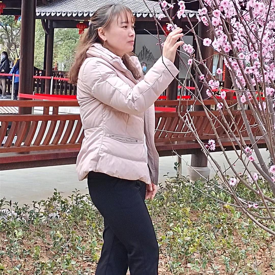 平平淡淡