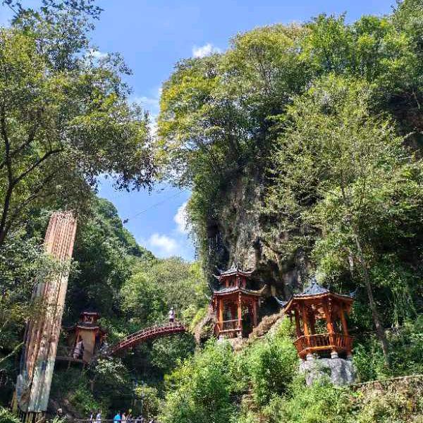 余生❤️随心