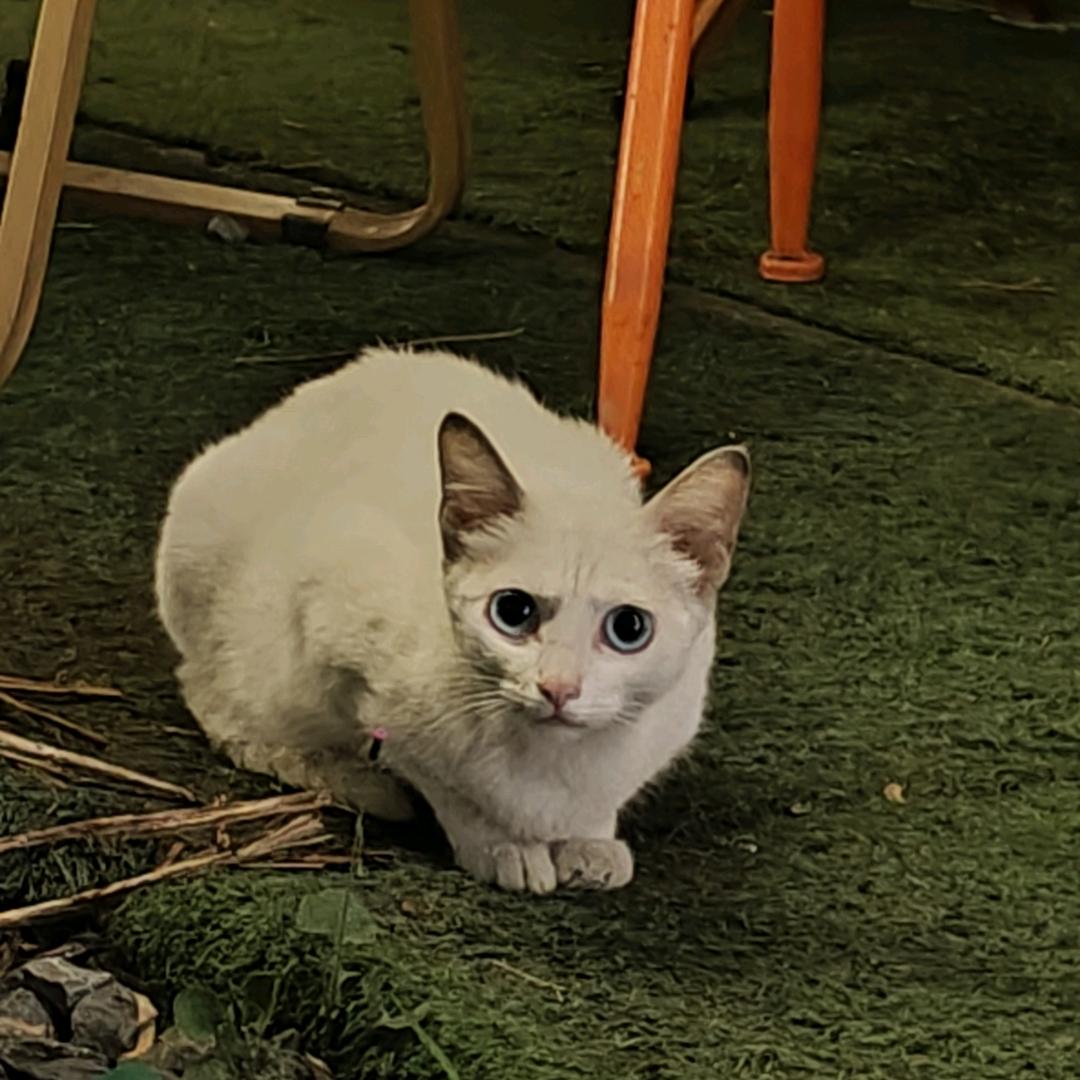 吉格斯精选好物