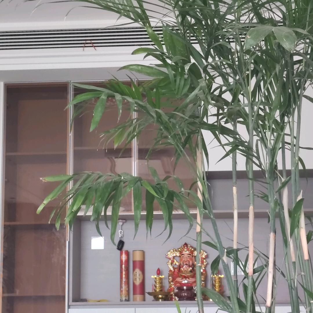 承接室内外装饰