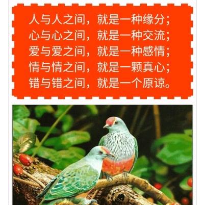 红尘有你