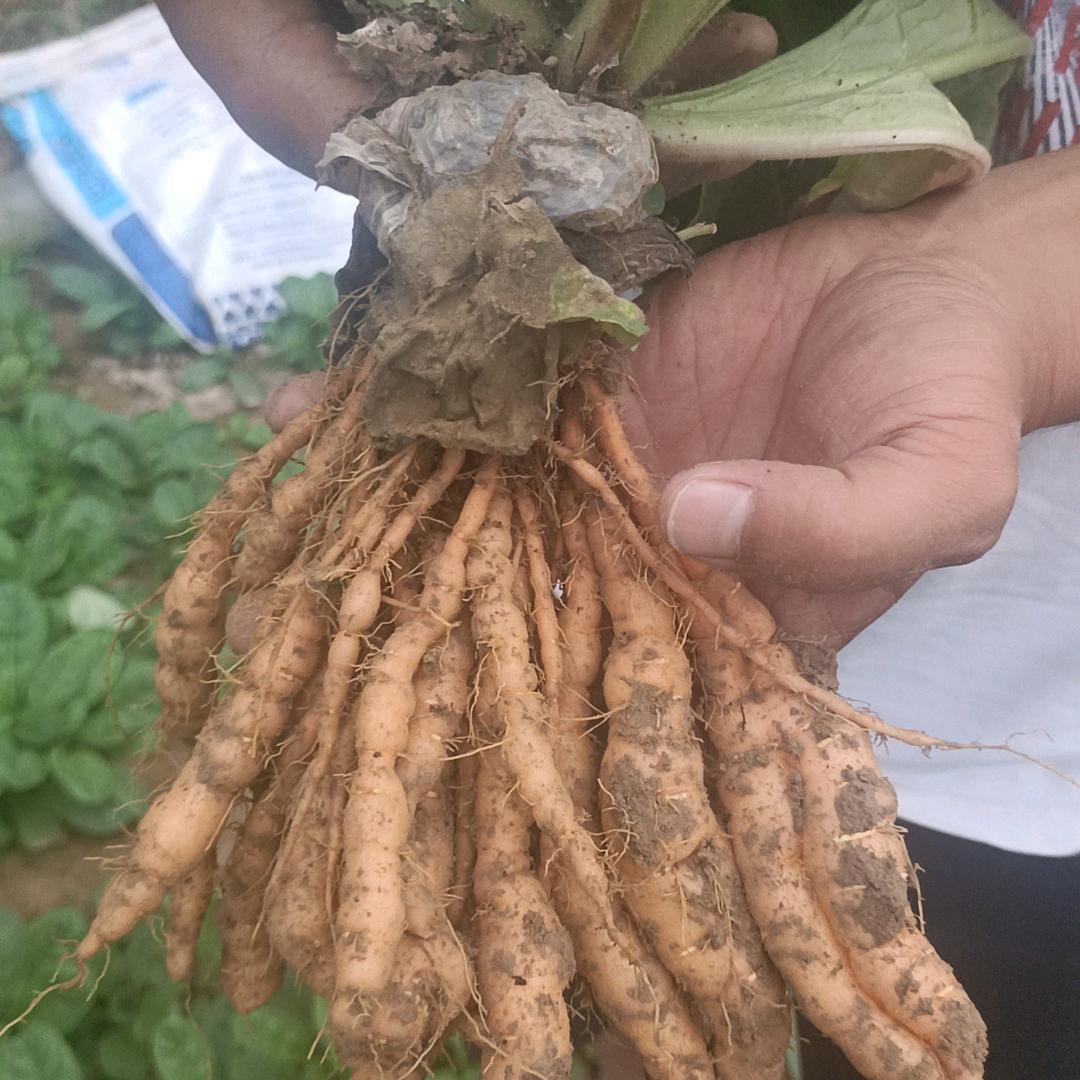 田赐良品家庭农场