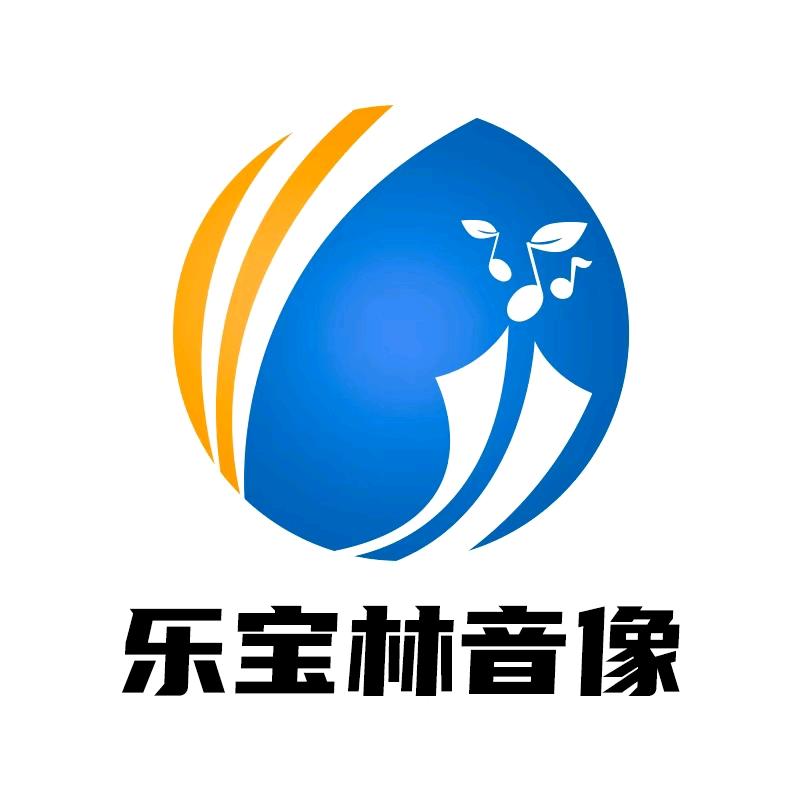 乐宝林音像专营店