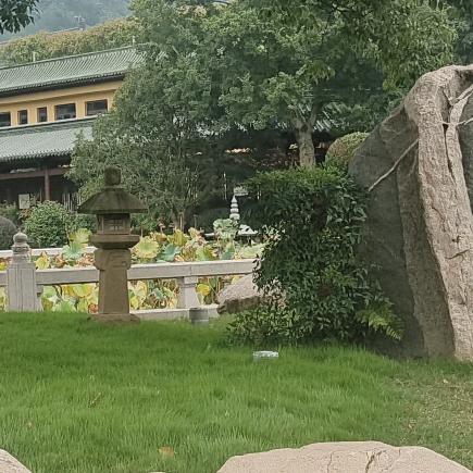 半醉不醉
