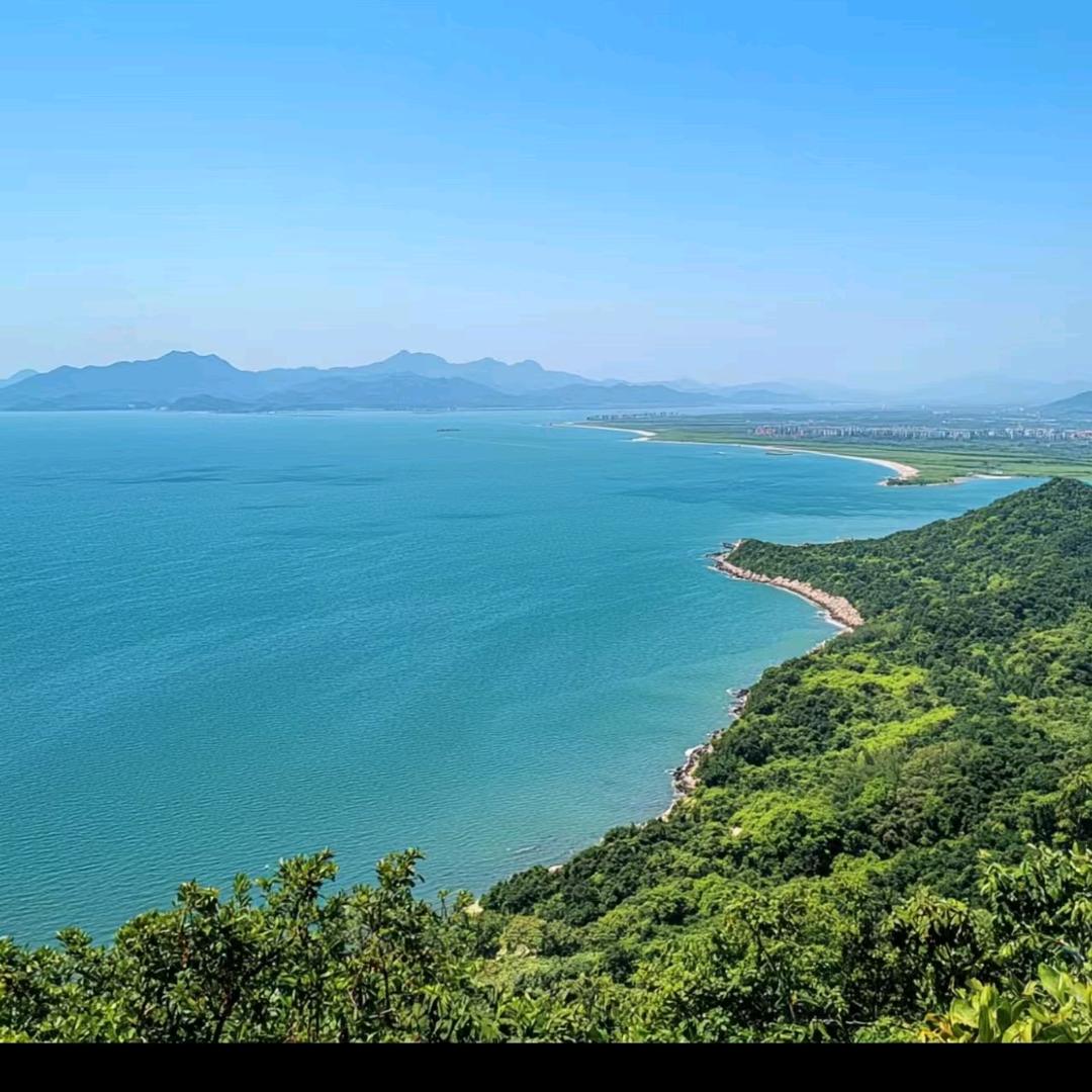 刘书记带您看乡村