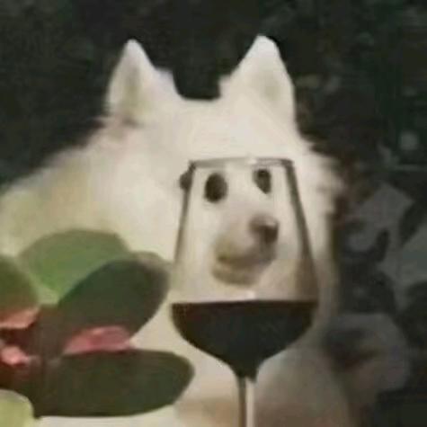 爱吃冰淇淋