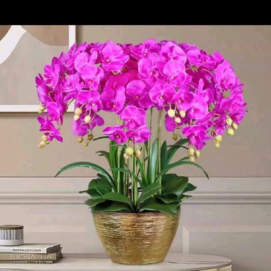 拒私聊)❤ (ɔˆз(ˆ⌣ˆc)