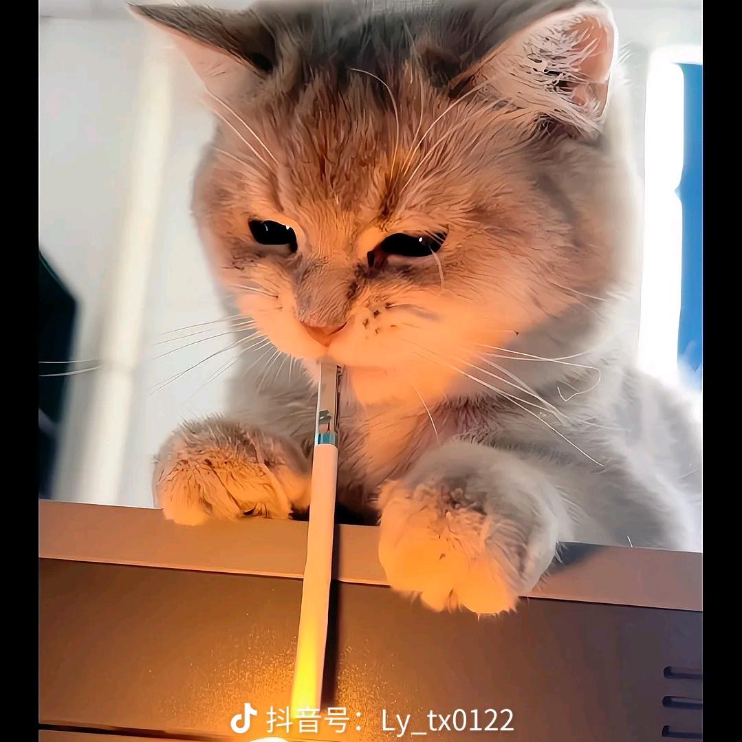 a分手以后我尿老黄了🍎