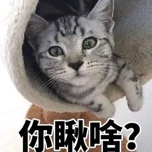 🌈爱吃土鸡蛋炒番茄🌈