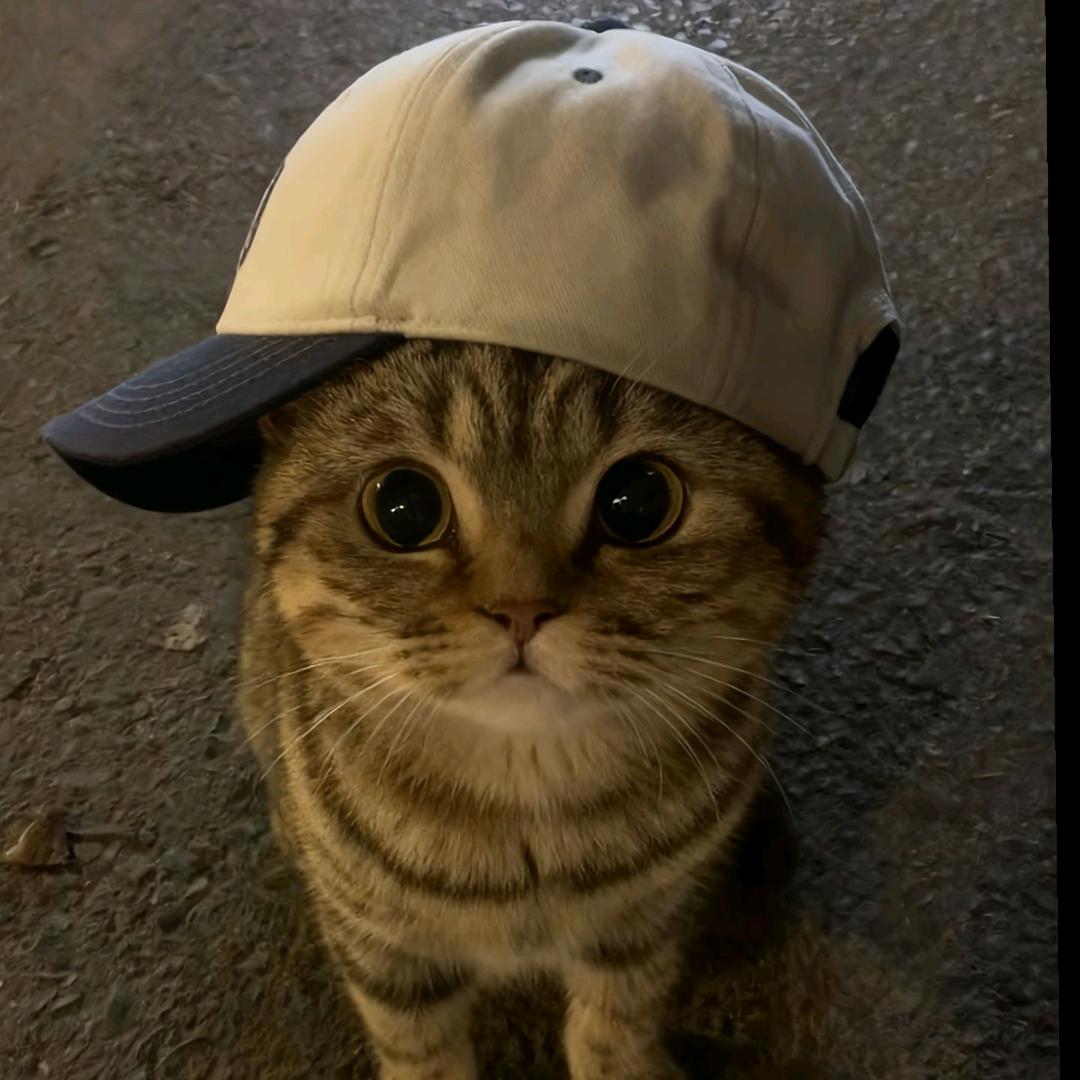 云起.