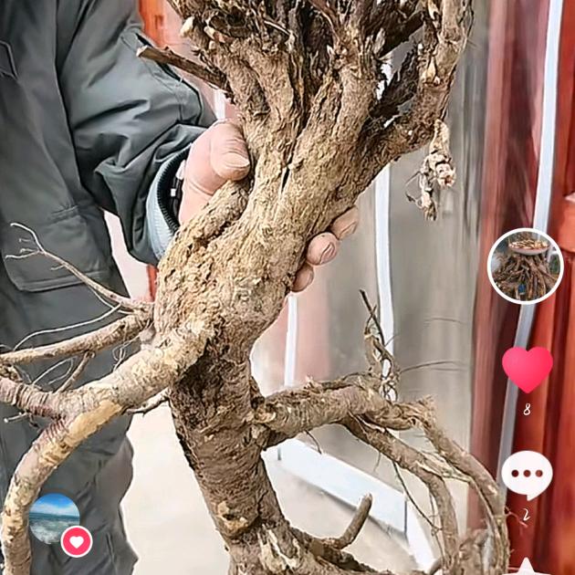 岷农人滋补养生店