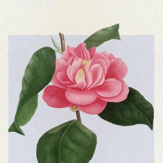 真心真意