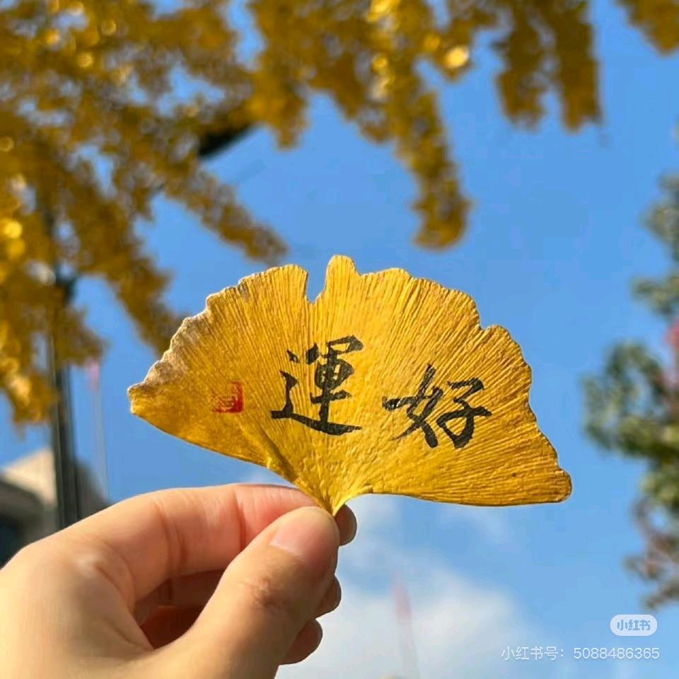 好运吖