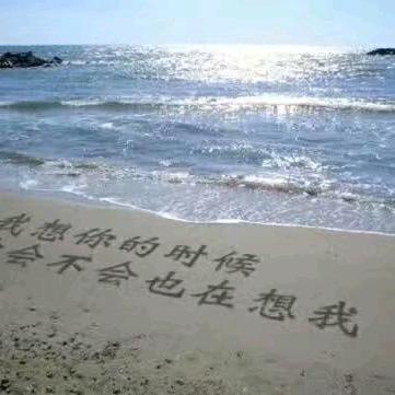 玉树凌风